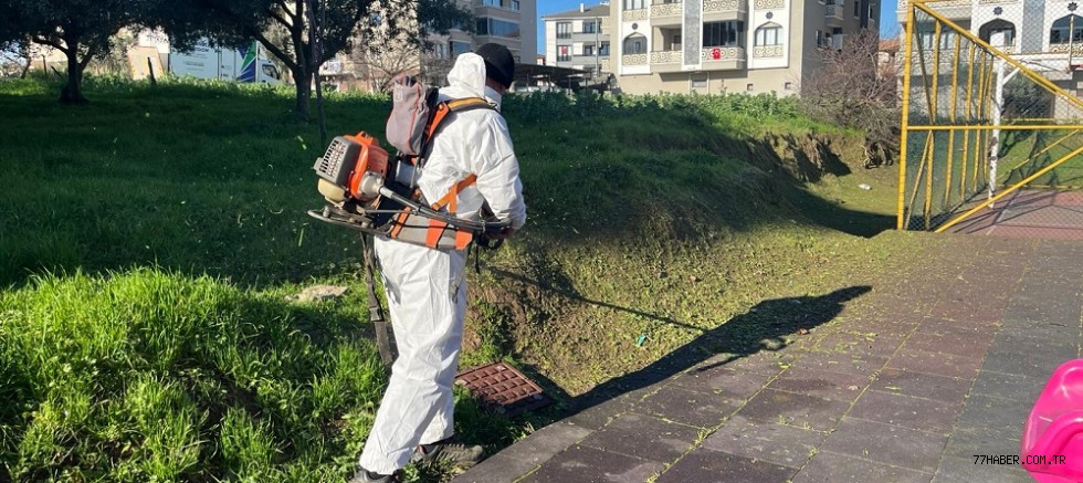 Altınova Bahara Merhaba Diyor: Daha Yeşil, Daha Temiz Bir İlçe İçin Seferberlik