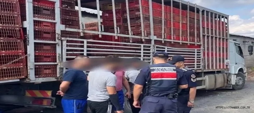 Yalova’da göçmen kaçakçılarına darbe: 81 ilde eş zamanlı denetim