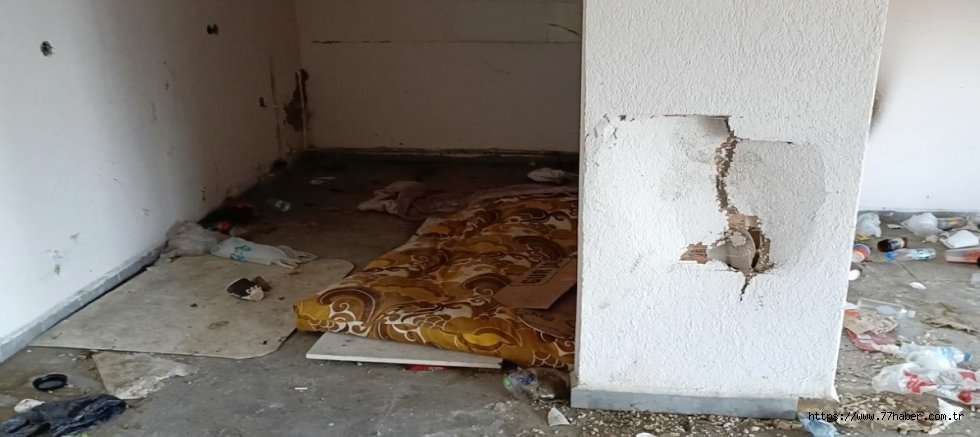 Yalova Sahilinde Evsiz İşgali: Belediye Dükkanları Pislik İçinde  