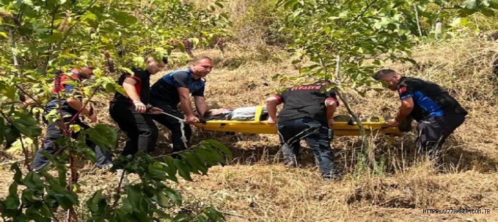 Zorlu Arazide Can Kurtarma: Termal'de İtfaiye ve Zabıtadan Örnek Operasyon