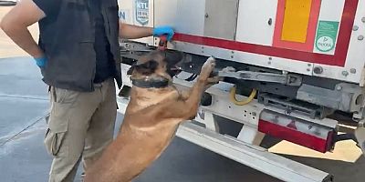71 İlde 10 Günde 2 Ton Uyuşturucu, 424 Tutuklama