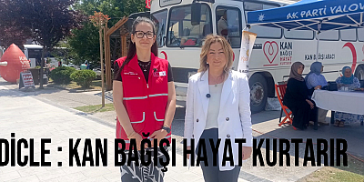 AK Parti Yalova İl Kadın Kolları’ndan Dünya Kan Bağışçıları Günü’nde Anlamlı Kampanya