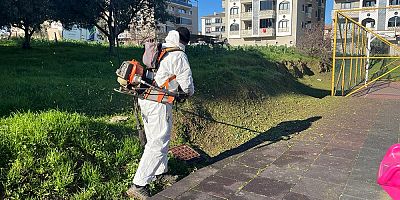 Altınova Bahara Merhaba Diyor: Daha Yeşil, Daha Temiz Bir İlçe İçin Seferberlik