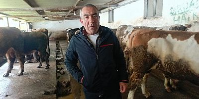 Çelebioğlu Çiftliği’nden Kurbanlıklar Hakkında Önemli Açıklamalar