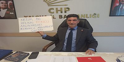 CHP'li Tutuğ'dan İktidara Çağrı: 