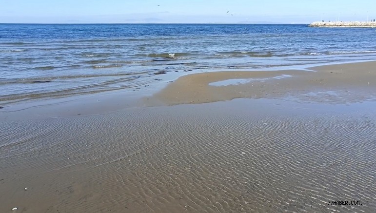 Yalova'da Deniz 40 Metre Çekildi Denizin Çekilmesi Depremin Habercisi mi !