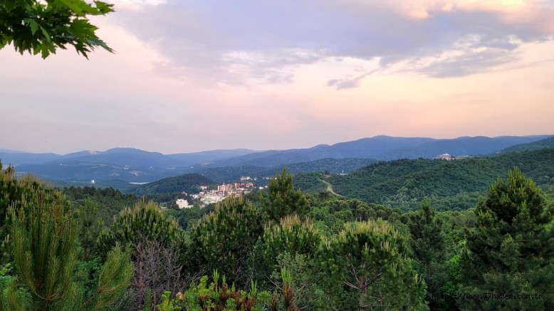 Yalova Valiliği'nden orman yangını tedbiri: Ateşli-ateşsiz piknik yasak